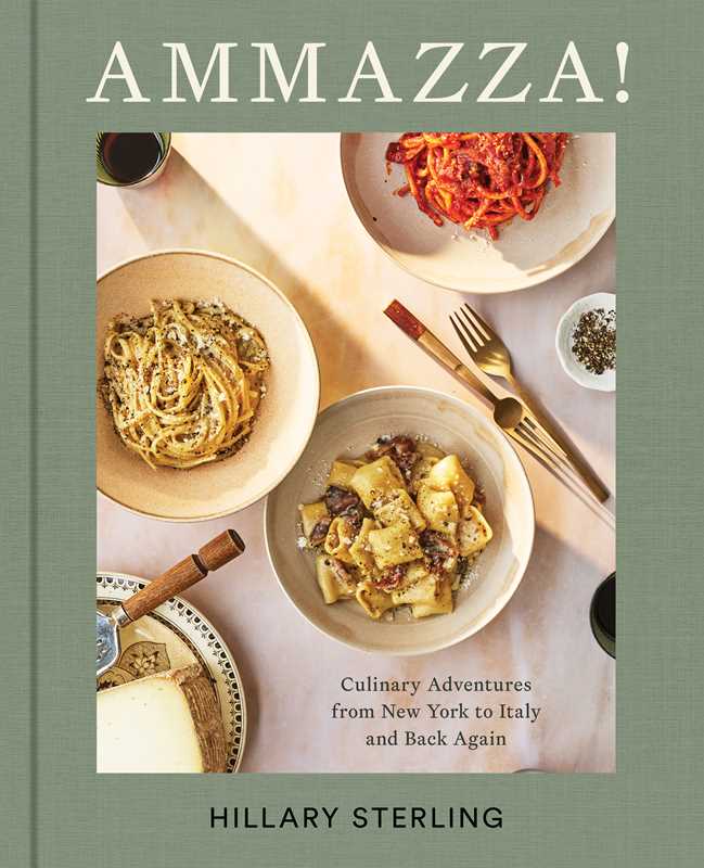 AMMAZZA! by Hillary Sterling: Hardcover; 320 pages / English