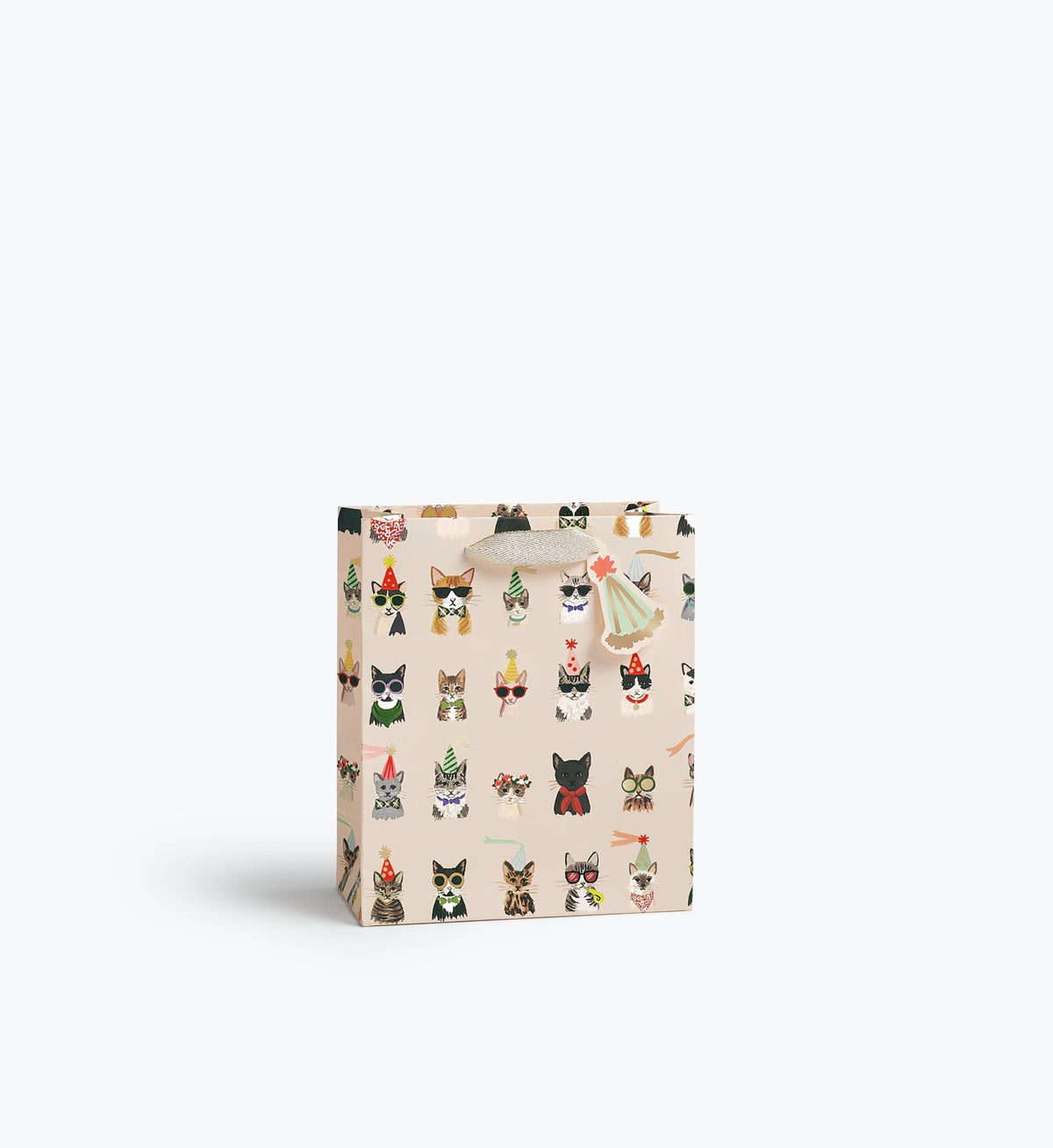 Party Cats Gift Bag: Small