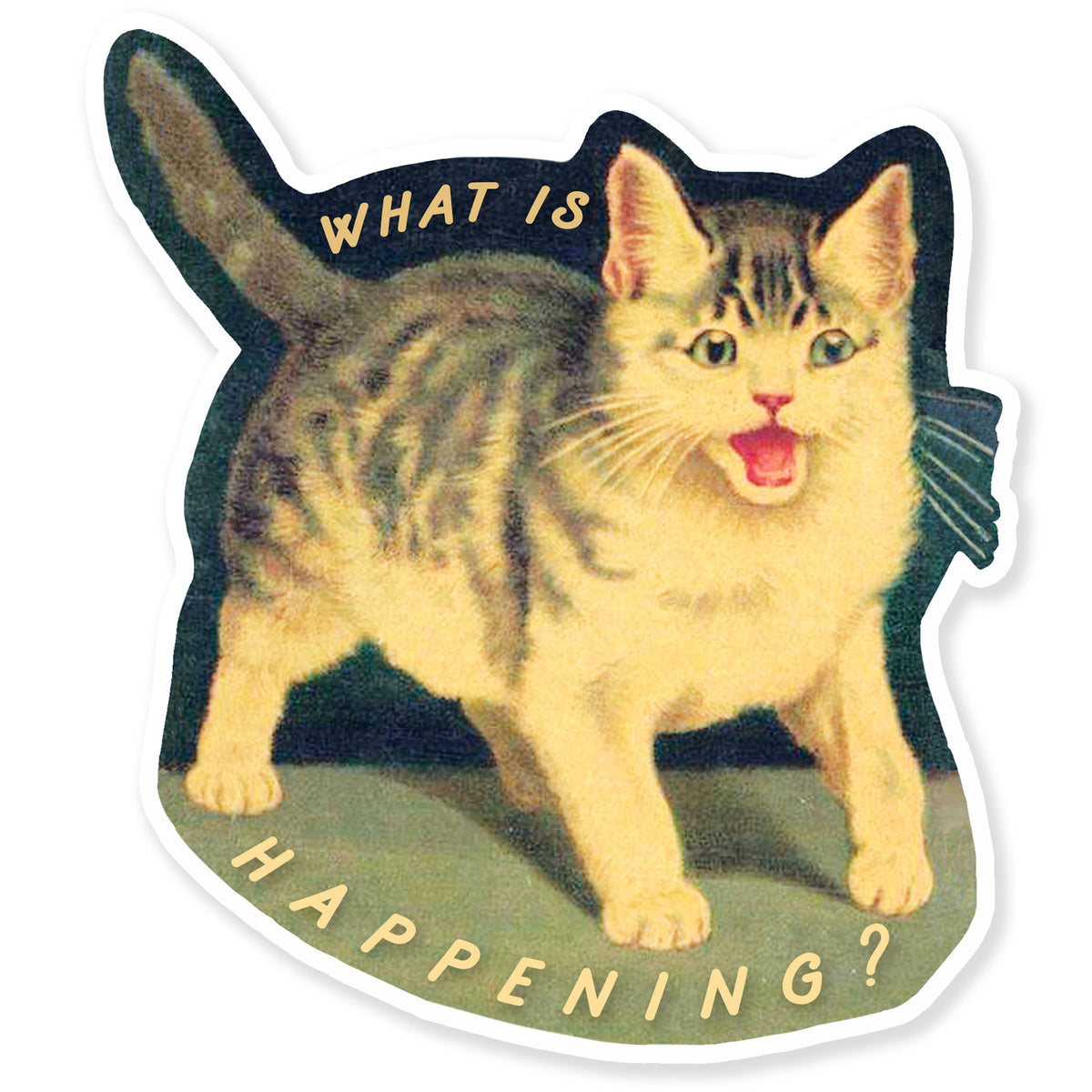 What is Happening Sticker: Screaming Vintage Cat