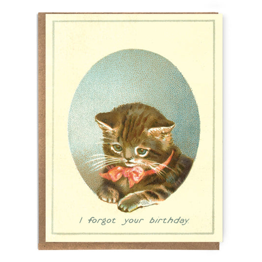 Funny Sad Cat Belated Birthday Card