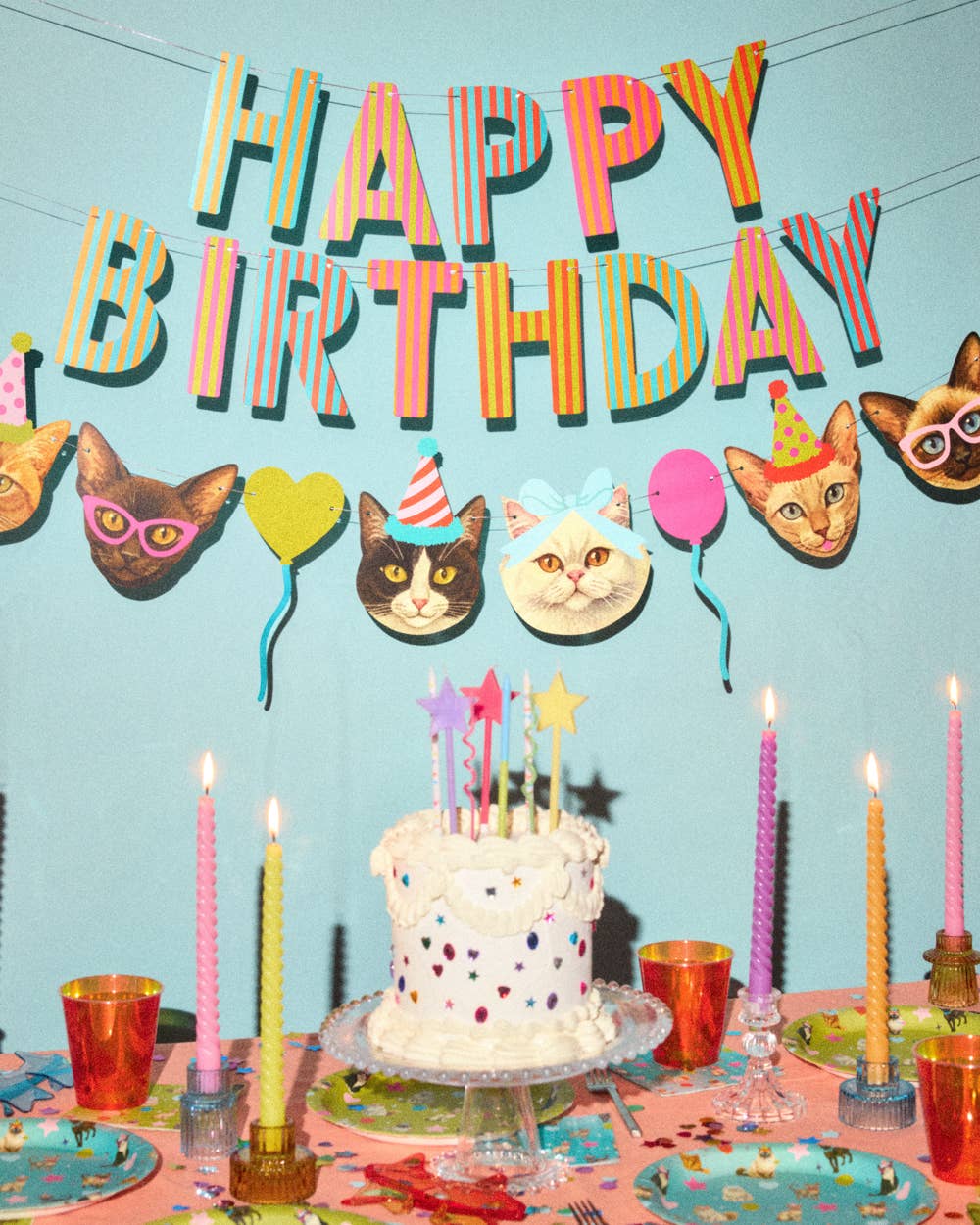Happy Birthday Cat Banner | cat party, pet birthday, 5"