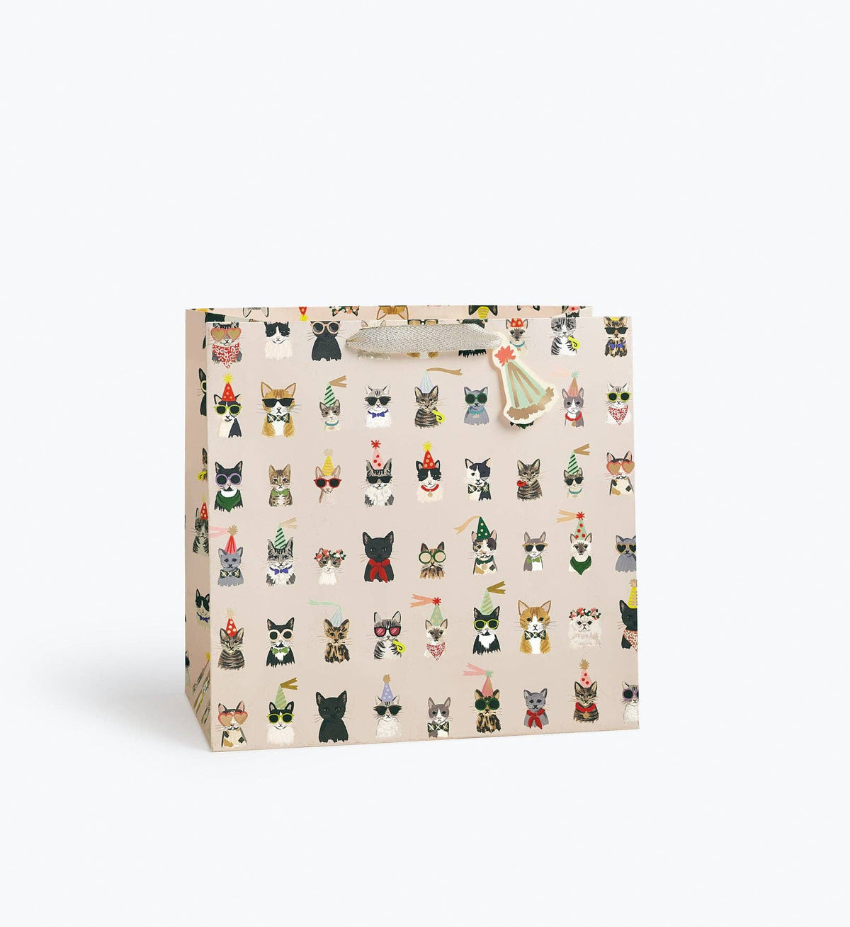 Party Cats Gift Bag: Small