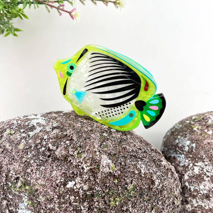 Angelfish Hair claw clip, Largemouth Bass Hair clip: A