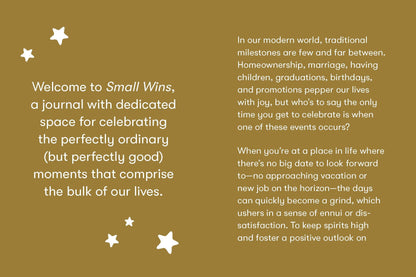 Small Wins
