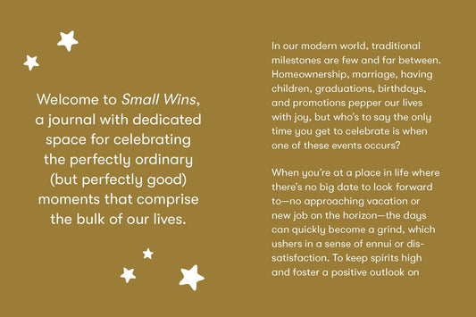 Small Wins