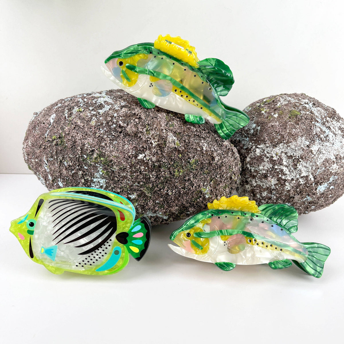 Angelfish Hair claw clip, Largemouth Bass Hair clip: A