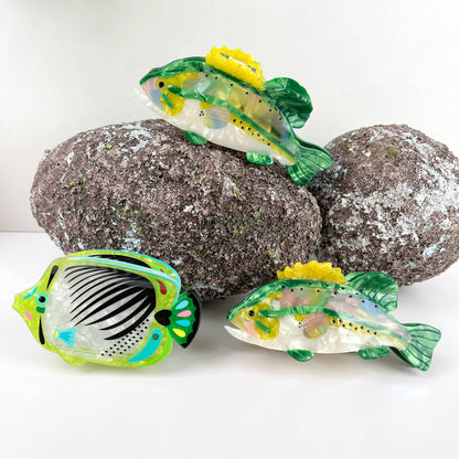 Angelfish Hair claw clip, Largemouth Bass Hair clip: A