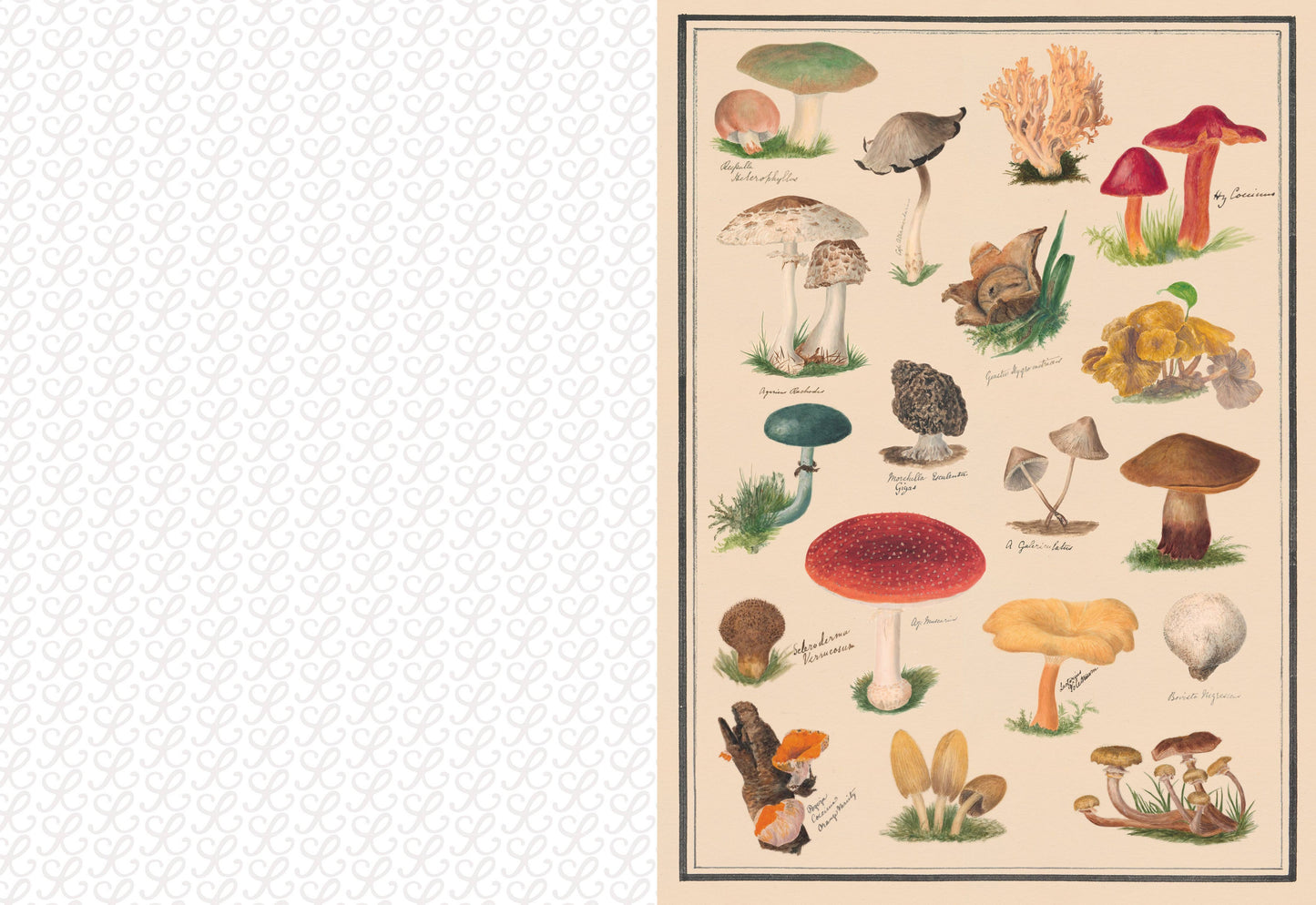Collage Compendium