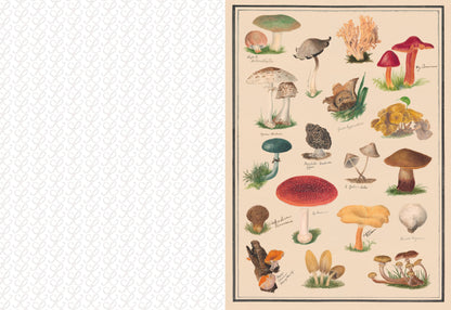 Collage Compendium